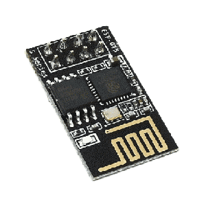 esp1